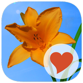 640 Photos icon