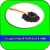 فوائد و أسرار الحبة السوداء أيقونة