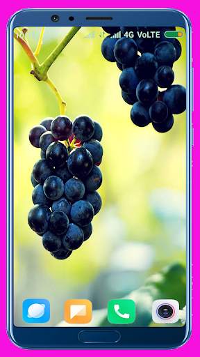 Grapes HD wallpaper screenshot 8