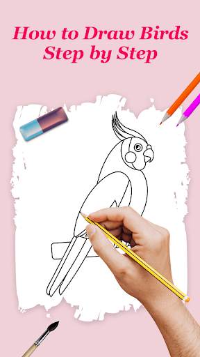 How to Draw Birds Step by Step स्क्रीनशॉट 1