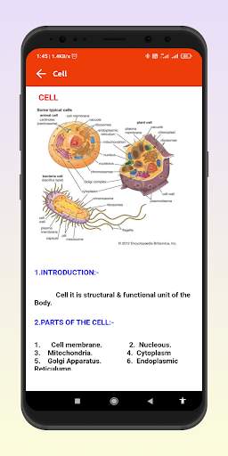 Paramedical Study screenshot 8