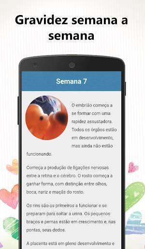 Minha gravidez semana a semana screenshot 6