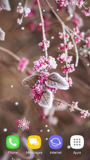 Beautiful Winter Live Wallpaper screenshot 1