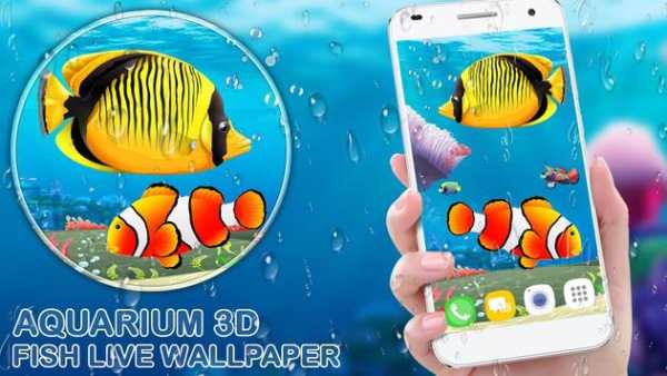 Aquarium Fish 3D Live Wallpaper 2019 screenshot 1