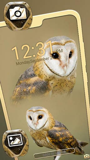 Owl Theme Launcher скриншот 3