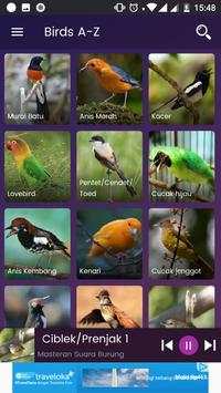 Bird Sounds - Free MP3 Download 2 تصوير الشاشة