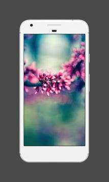 Spring Wallpapers screenshot 4