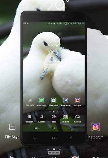 Dove Wallpaper screenshot 4