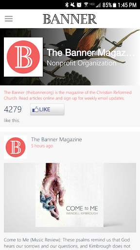The Banner screenshot 1