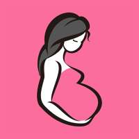 Due Date Calculator أيقونة
