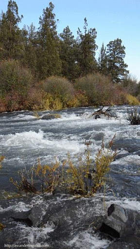 River Live Wallpaper screenshot 7