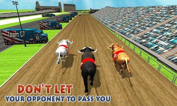 Bull Racing Fever screenshot 5