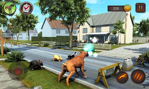 Simulator Anjing Boxer screenshot 7