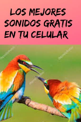 Ringtones and Sounds of Birds, Free Birdsong. स्क्रीनशॉट 1
