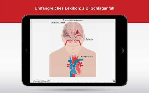 BlutdruckDaten screenshot 8