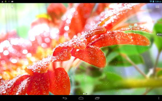 Spring Flowers Live Wallpaper screenshot 1