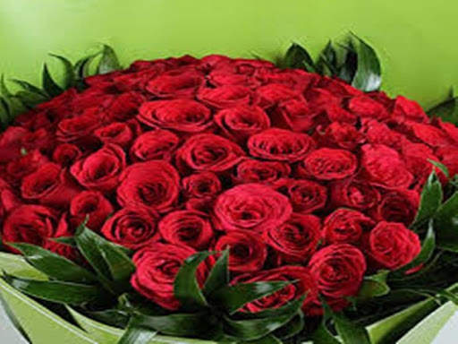 Red rose 1 تصوير الشاشة