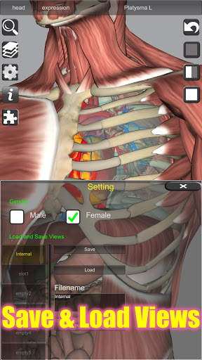 3D Bones and Organs (Anatomy) screenshot 4