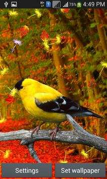 Cute Birds Live Wallpaper screenshot 4