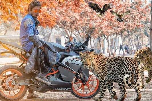 Wild Animal Photo Editor screenshot 6