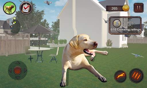 Simulator Labrador screenshot 2