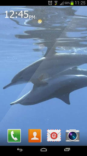 Marine Dolphin Live Wallpaper screenshot 3