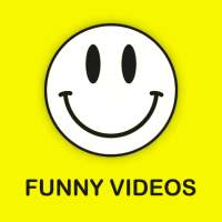 Funny Video - VidFun