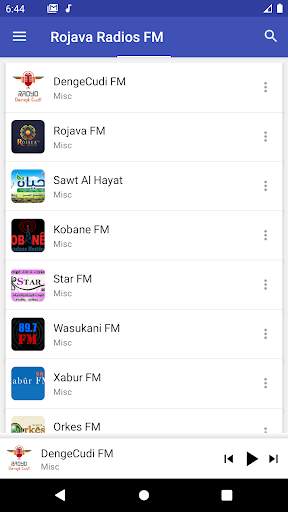 Rojava Radios FM screenshot 8