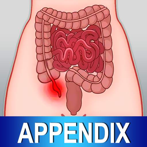 Appendix Diet Foods Help Tips 2.4
