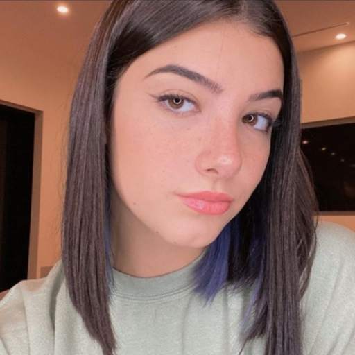 Charli Damelio Videos - Photos 1.2.8
