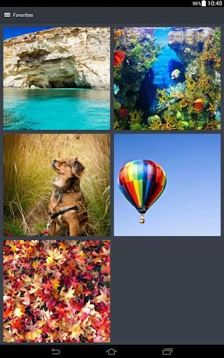 Wallpapers for Mobile Phones screenshot 12