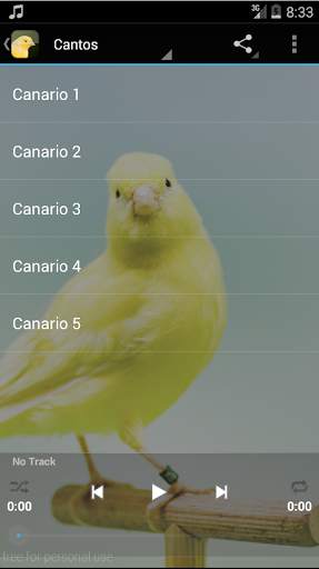 Canto de Canário Belga HD स्क्रीनशॉट 1