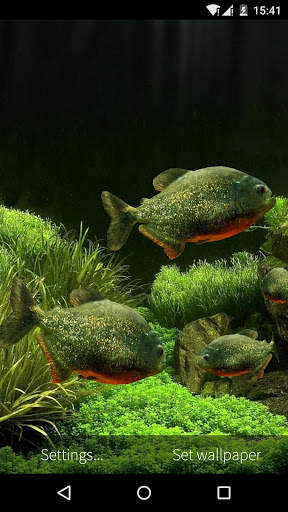 3D Fish Aquarium Wallpaper HD screenshot 6