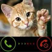 Fake  Call Kitty Cat on 9Apps