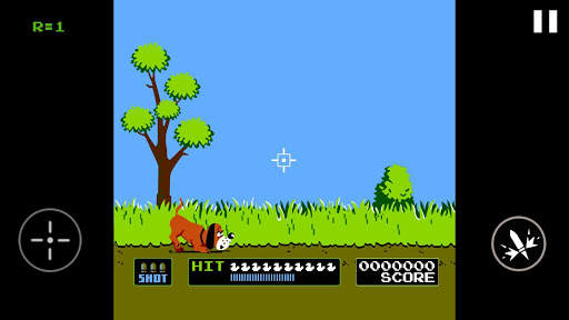 Duck Shooting screenshot 7