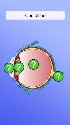 Anatomia screenshot 4
