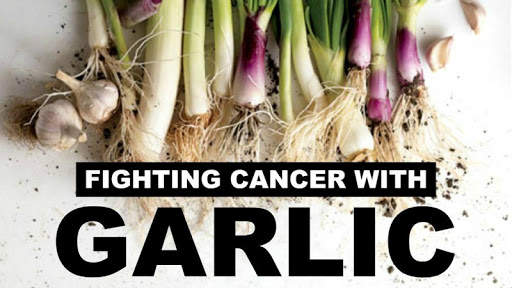 Health Benefits of Garlic screenshot 3