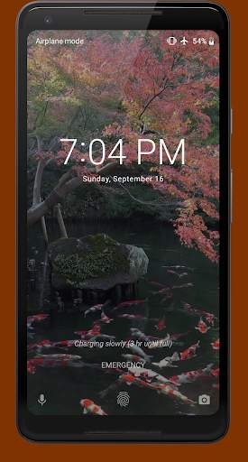Japanese Pond with Koi Video Wallpaper screenshot 4
