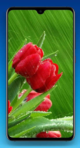 Beautiful Flower Wallpaper HD screenshot 2