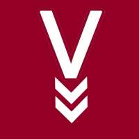 vidland - download any video icon