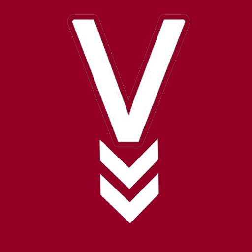 vidland - download any video 2.4