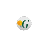 GIM