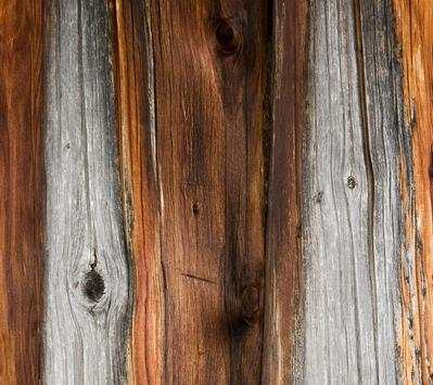 Wallpapers (Moto,G) screenshot 9