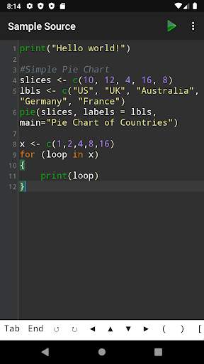 R Programming Compiler screenshot 1