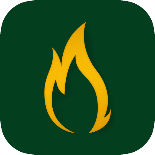 Bonus Promo icon