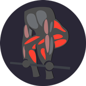 Adaptive Gym Workout Plan for Weight training icon