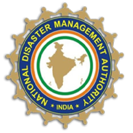 Disaster Management icon