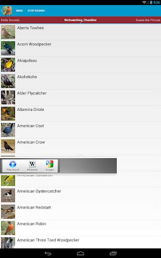 North American Birds Free screenshot 19