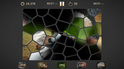 Image Rush: 1000  Dynamic Photo Jigsaw Puzzles screenshot 21
