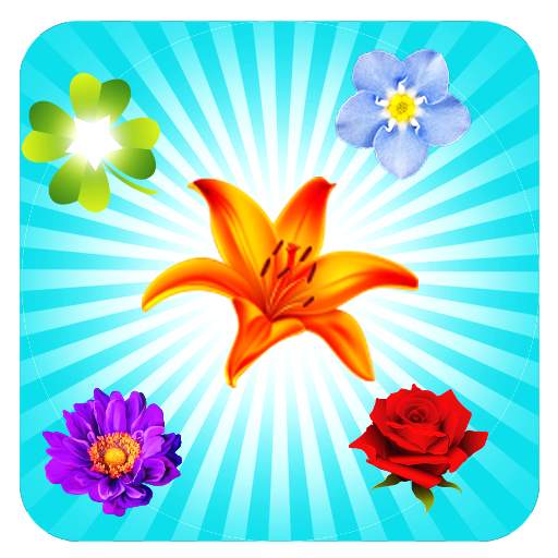 Blossom Crush 1.1